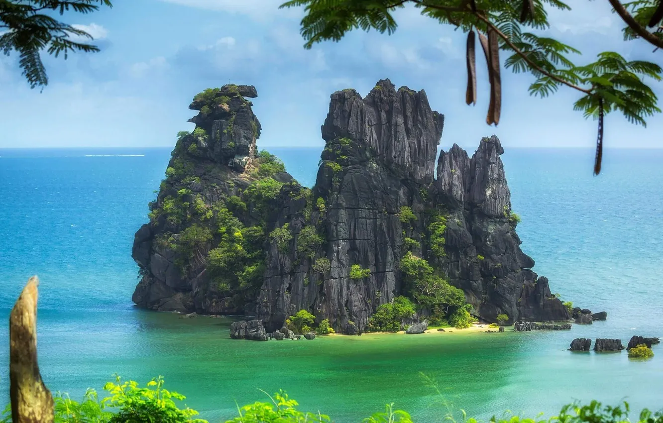 Photo wallpaper the sky, clouds, trees, landscape, nature, the ocean, rocks, plant