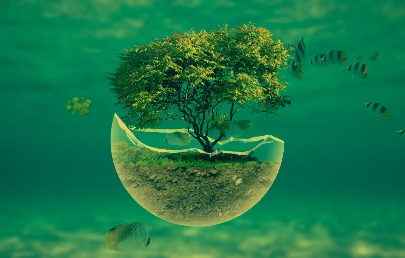 Photo wallpaper grass, water, trees, fish, fragments, the ocean, earth