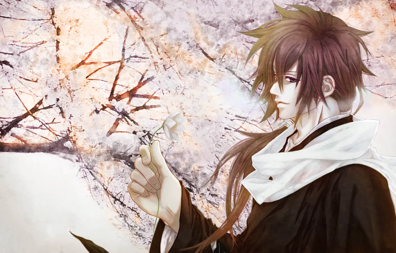 Photo wallpaper flowers, spring, Sakura, guy, art. anime, souji akita