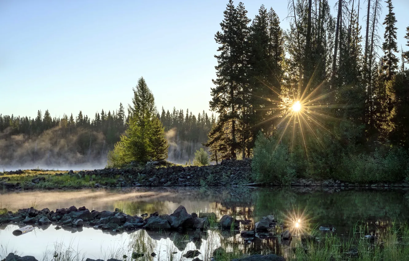 Photo wallpaper forest, the sun, fog, stones, shore, morning, ate, pond