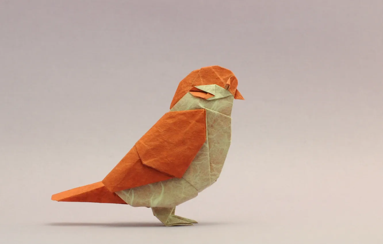 Photo wallpaper bird, Sparrow, origami, bird, origami, sparrow