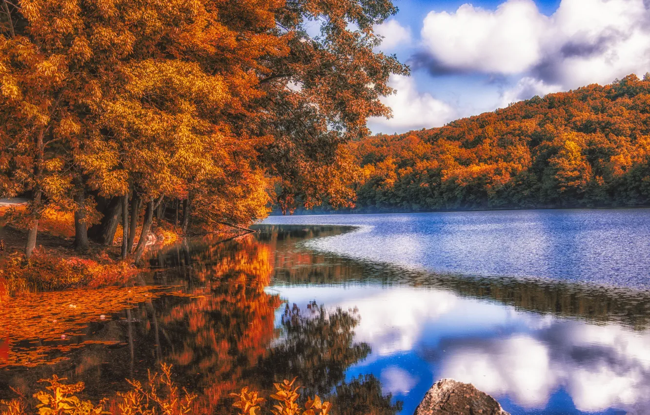 Photo wallpaper autumn, clouds, trees, landscape, lake