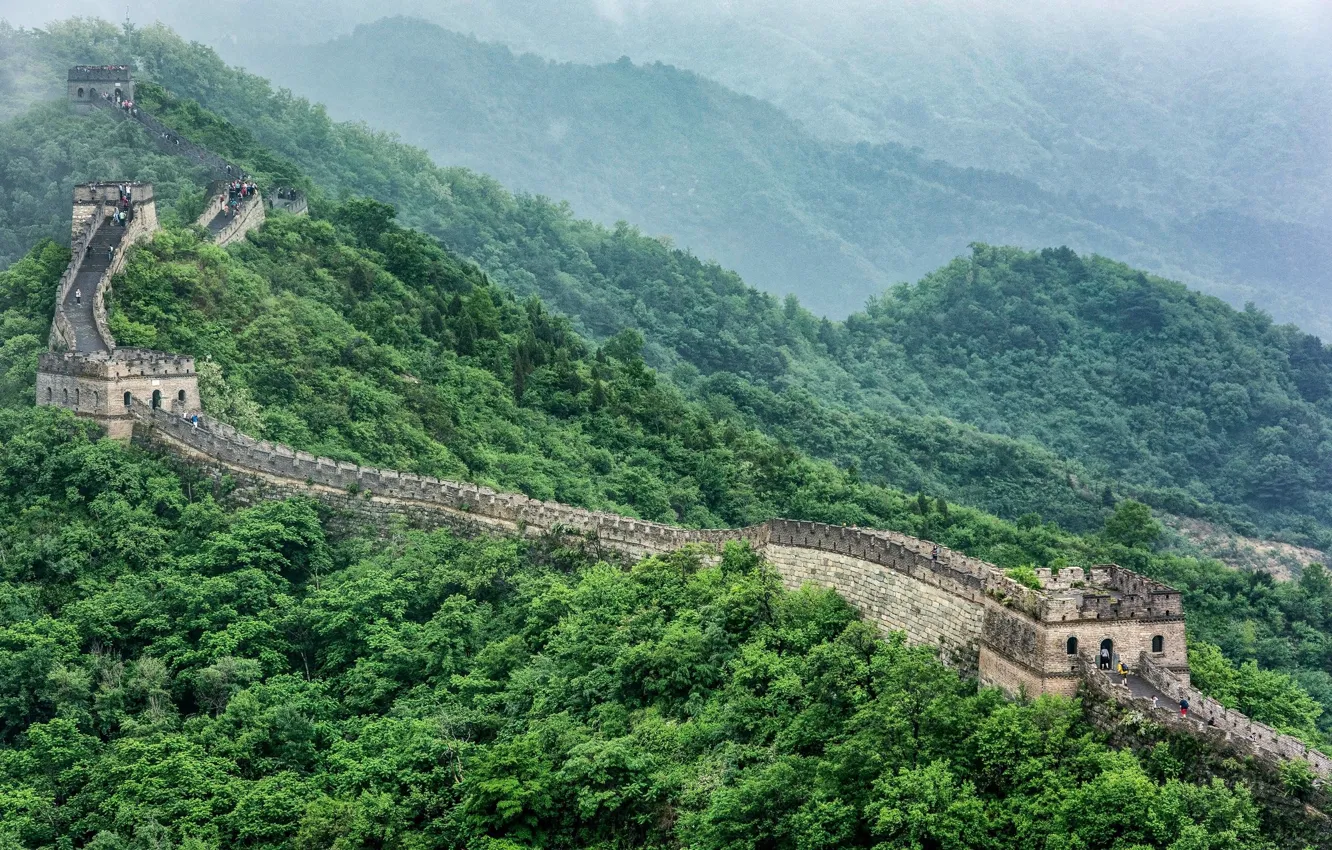 Photo wallpaper greens, forest, The great wall of China
