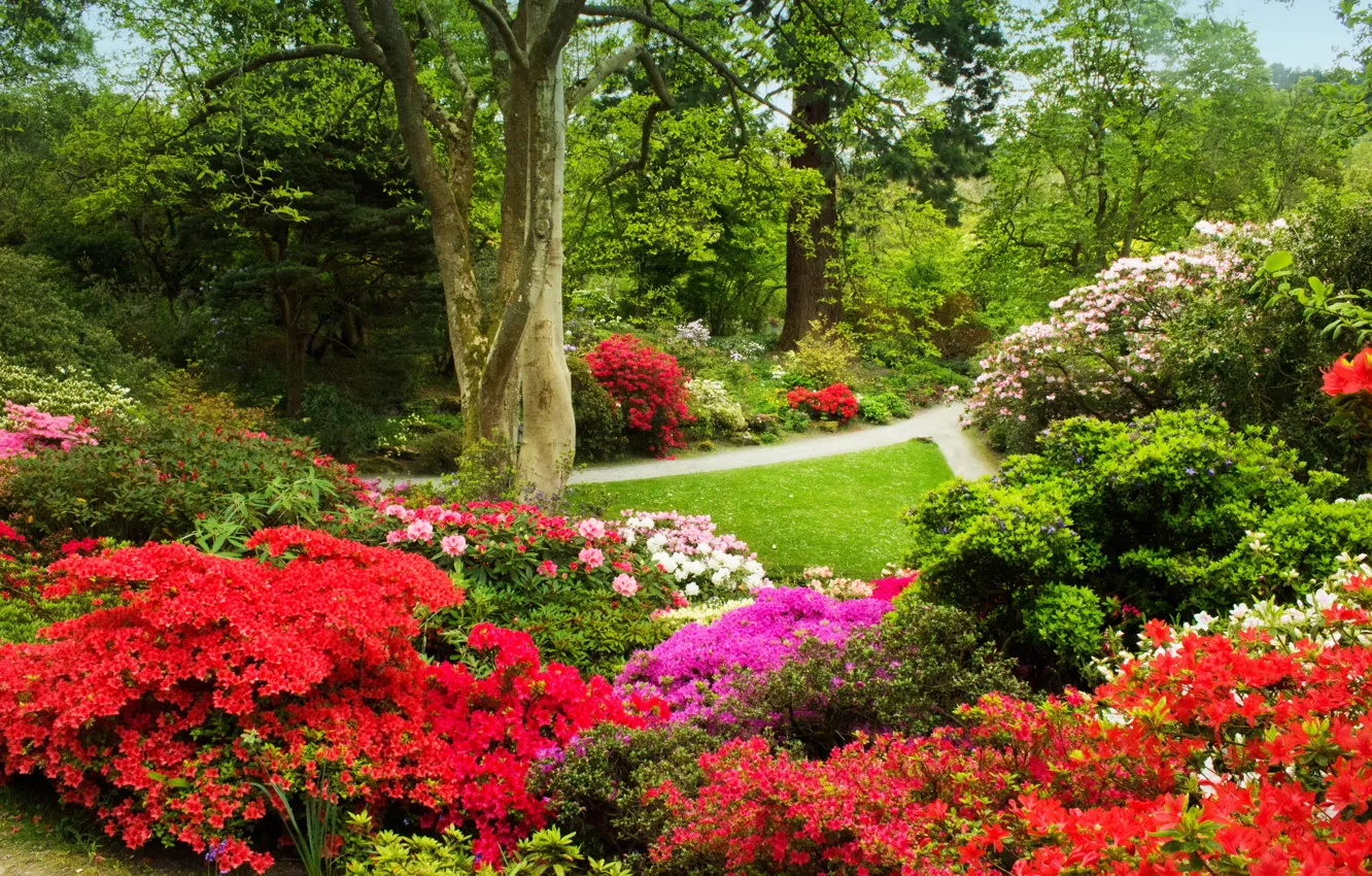 Photo wallpaper greens, grass, trees, flowers, track, garden, UK, colorful