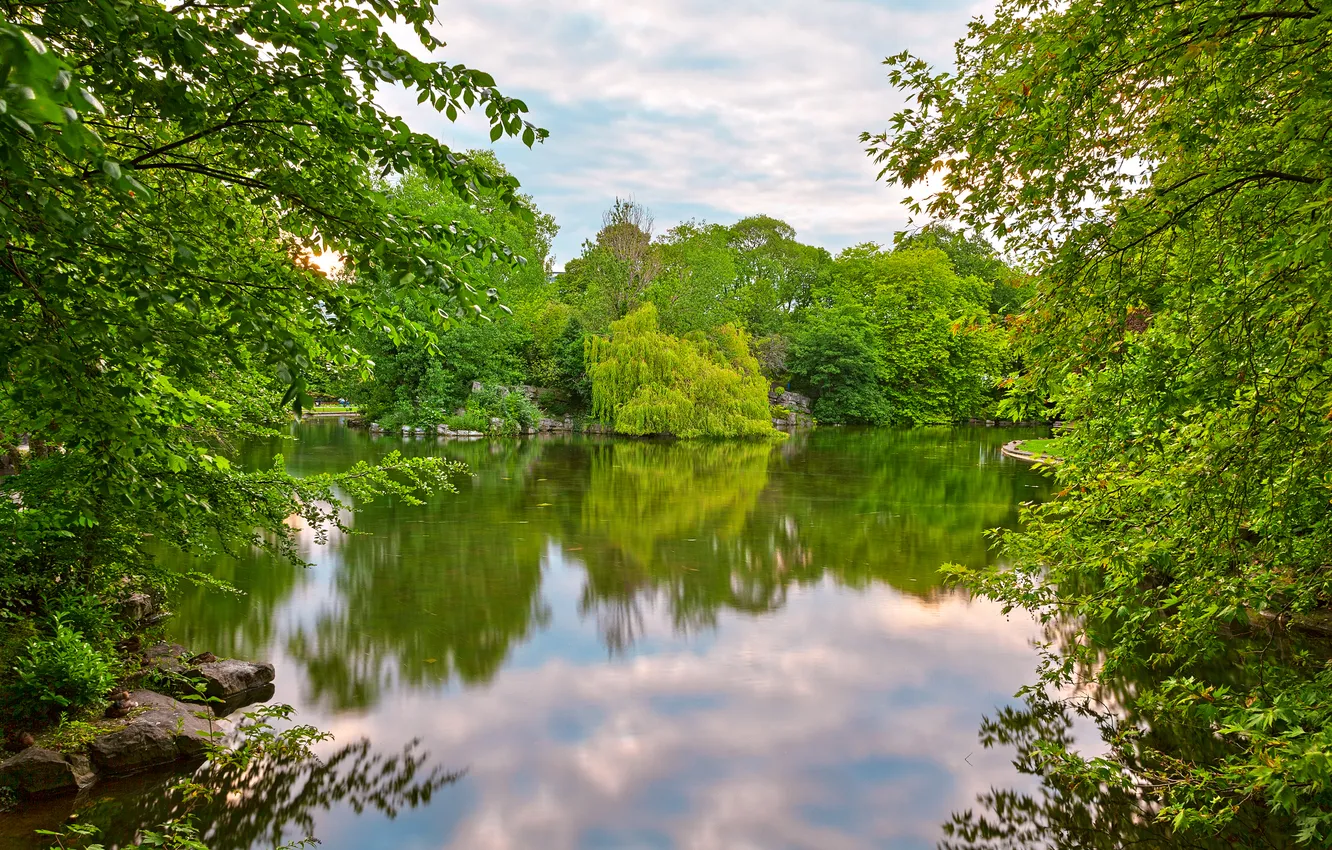 Photo wallpaper the sky, clouds, trees, river, stones