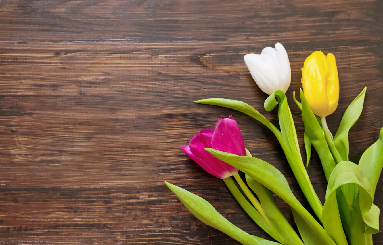 Photo wallpaper flowers, bouquet, colorful, tulips, wood, romantic, tulips, gift