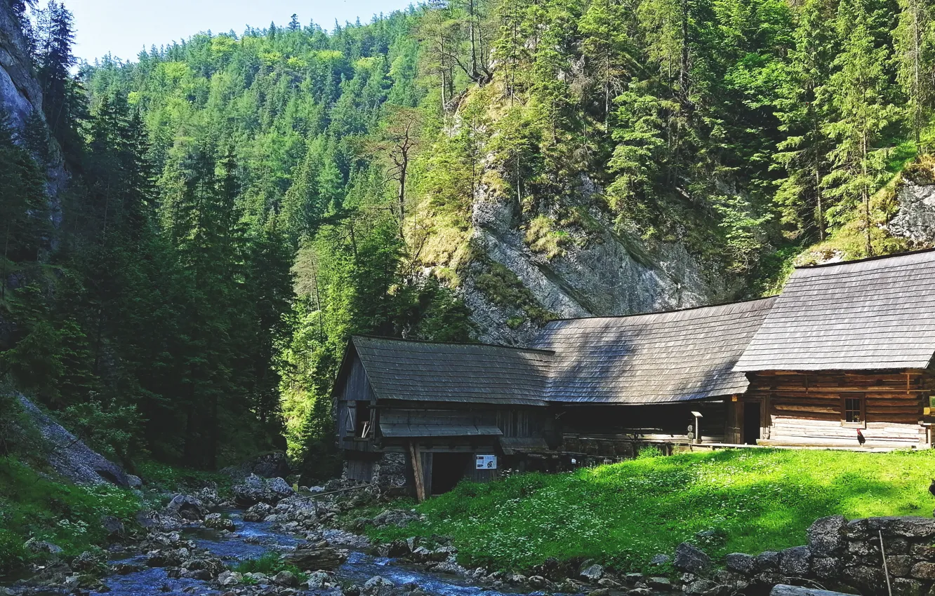 Photo wallpaper forest, trees, rocks, cottage, stream, Slovakia, moutains