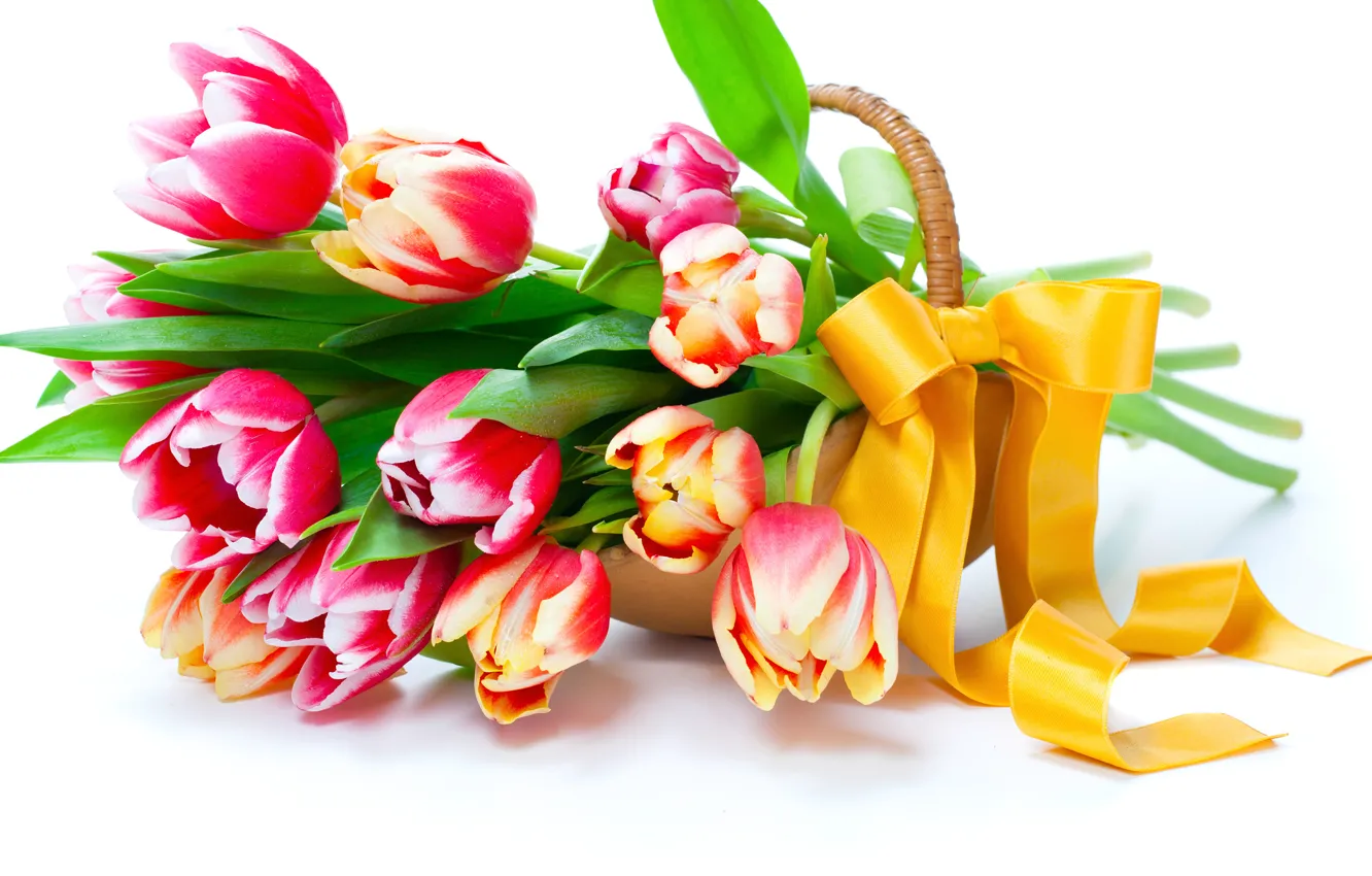 Photo wallpaper flowers, spring, petals, tulips