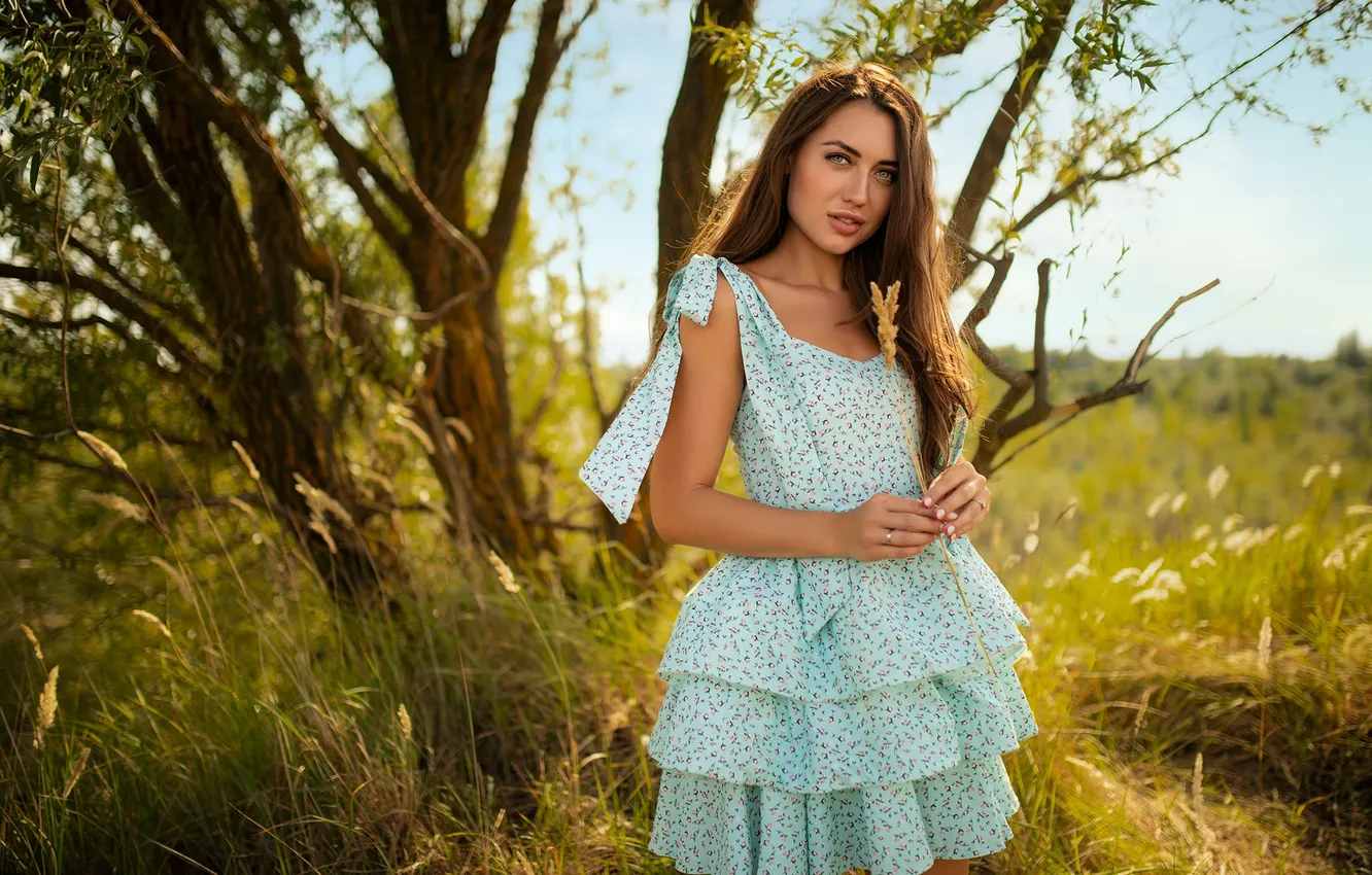 Photo wallpaper look, girl, pose, hands, dress, long hair, nature, Dmitry Shulgin