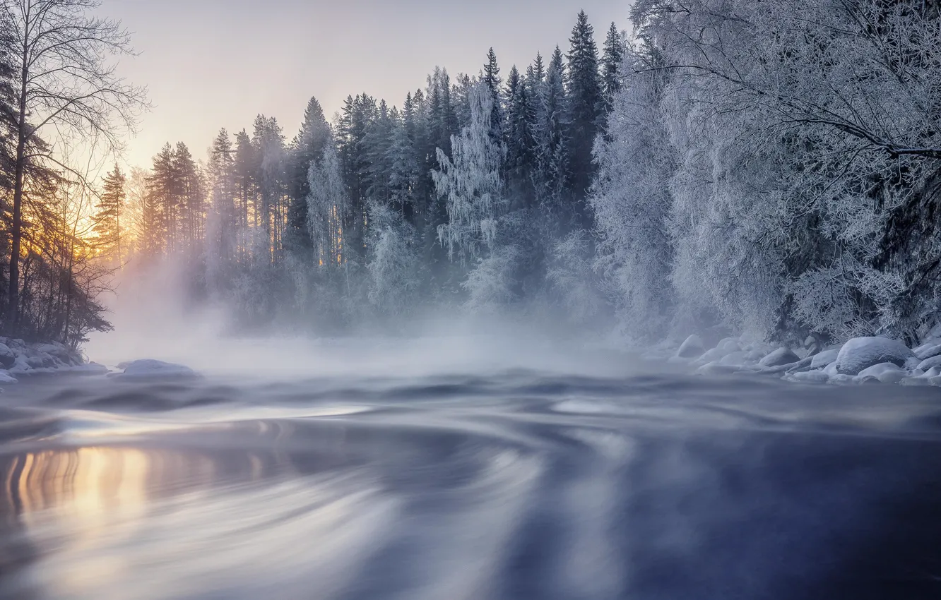 Photo wallpaper winter, frost, forest, snow, trees, lake, dawn, morning