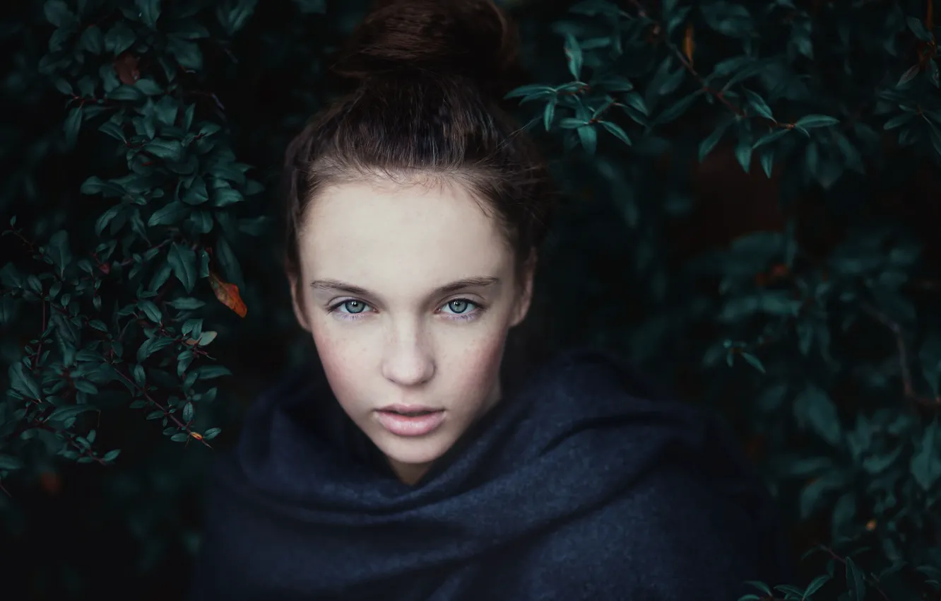 Photo wallpaper freckles, sponge, Nikodem Szymanski