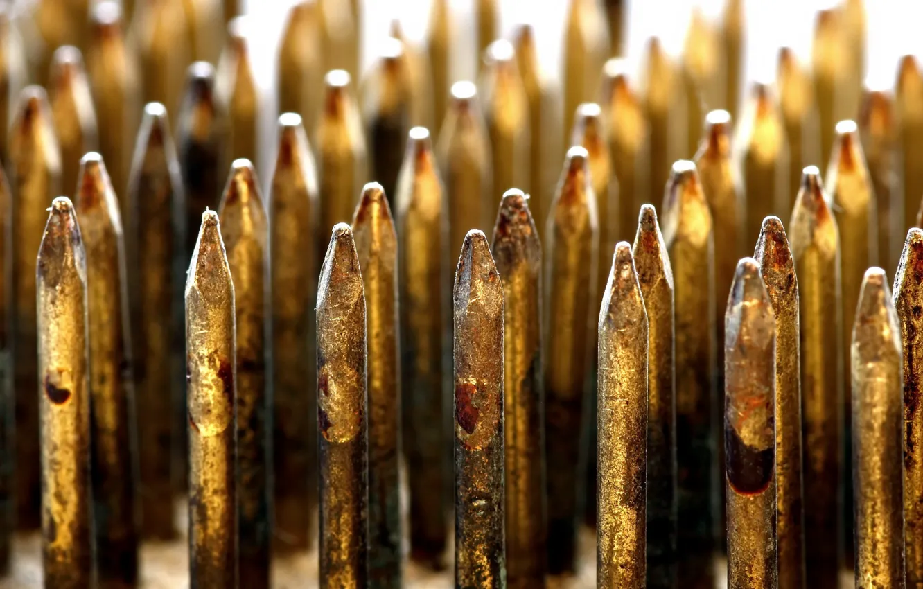 Photo wallpaper macro, background, nails