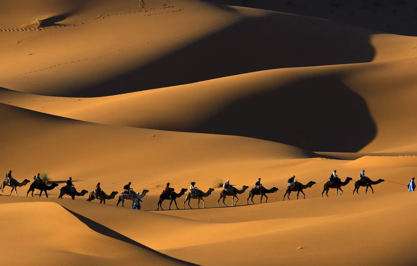Photo wallpaper nature, desert, Sands, camels, caravan, Sugar, Morocco