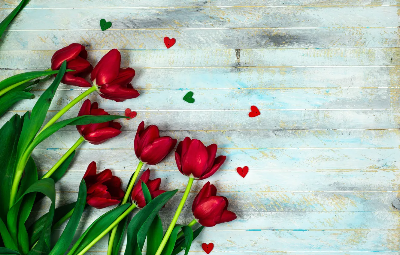 Photo wallpaper flowers, spring, hearts, tulips, red tulips