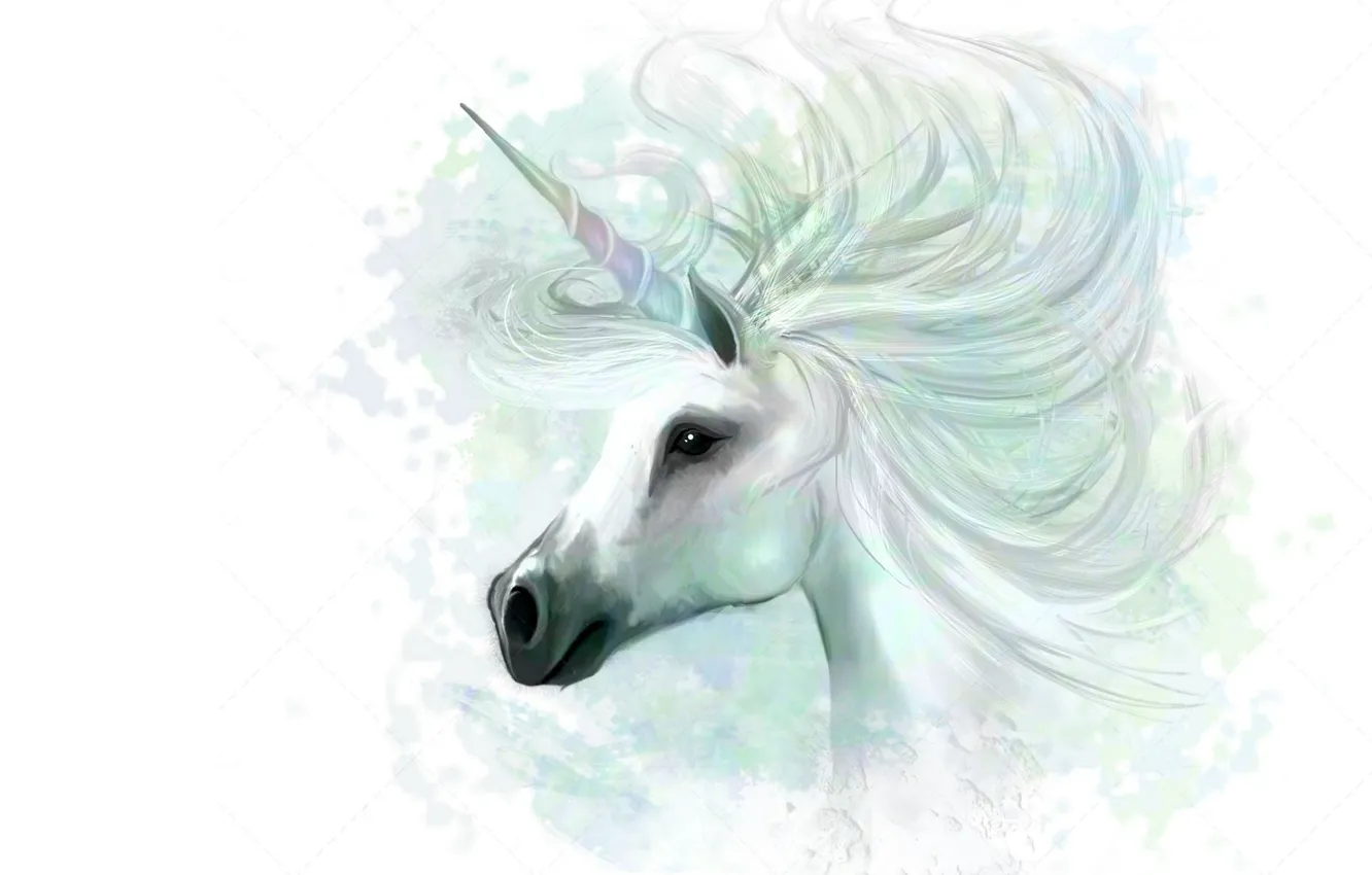 Photo wallpaper fantasy, horse, art, mane, unicorn