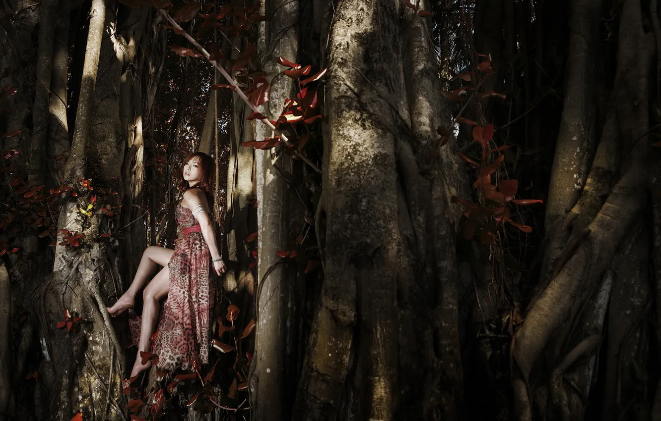 Photo wallpaper forest, girl, Asian