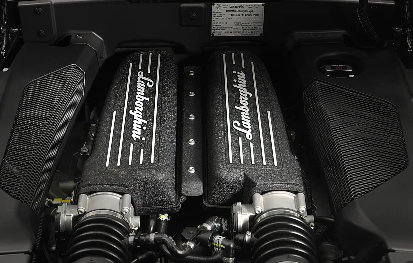 Photo wallpaper engine, Lamborghini, Gallardo, tricolor, Tricolor, Lamborghini, Gallardo, V10