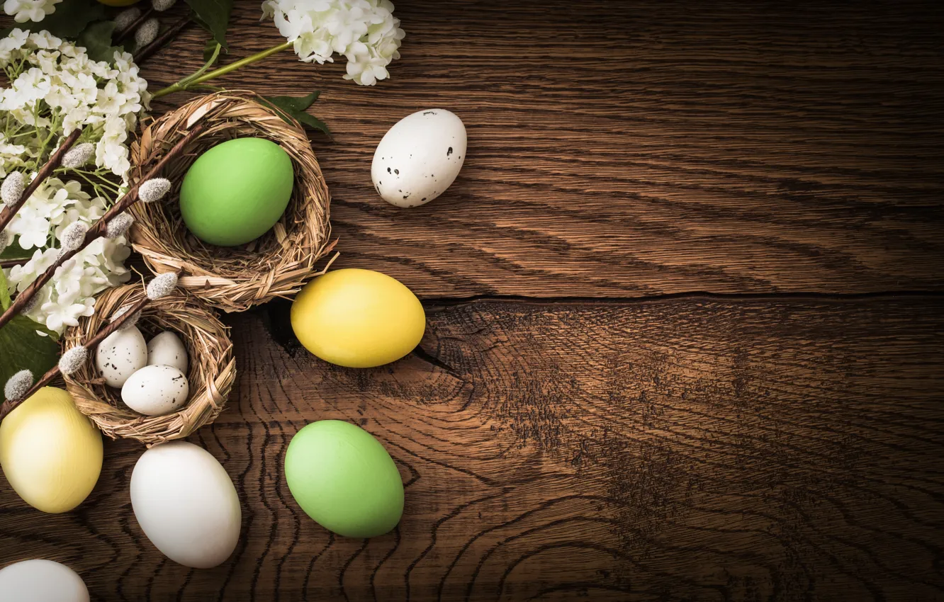 Photo wallpaper flowers, eggs, spring, Easter, flowers, spring, Easter, eggs