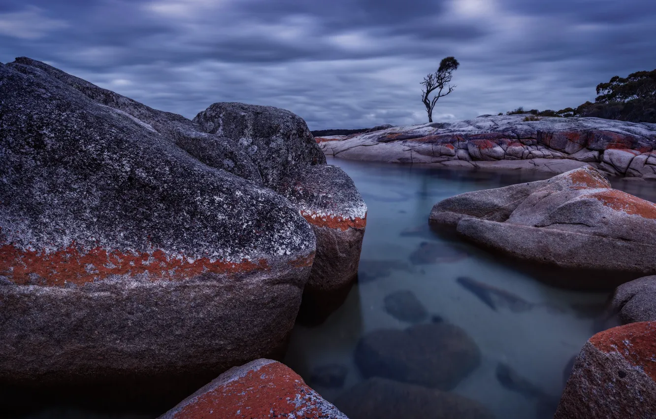 Photo wallpaper clouds, trees, stones, rocks, the bottom, the evening, pond