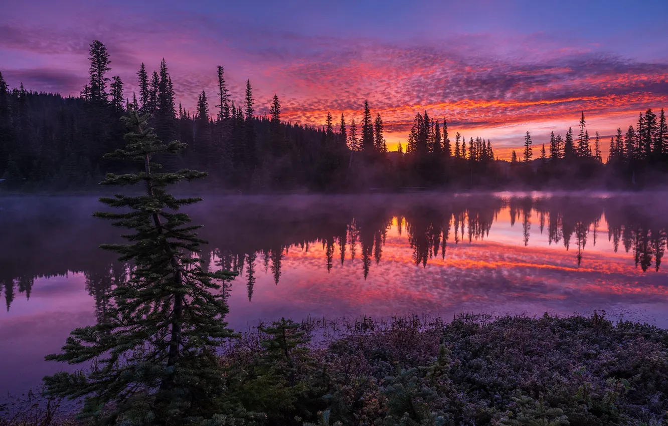 Photo wallpaper forest, the sky, clouds, trees, sunset, fog, reflection, shore