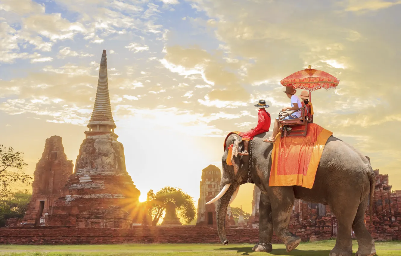 Photo wallpaper dawn, people, elephant, Thailand, Thailand, Southeast Asia, Southeast Asia, Sukhothai Historical Park