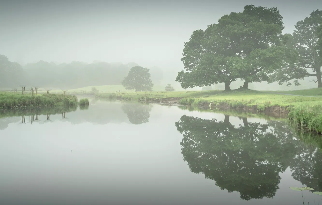 Photo wallpaper summer, the sky, trees, landscape, green, fog, lake, reflection