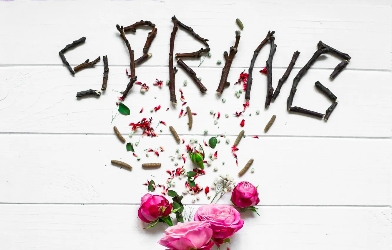 Photo wallpaper flowers, roses, spring, petals, pink, buds, wood, pink