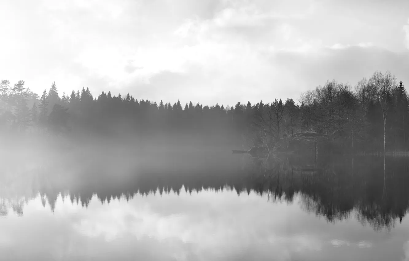 Photo wallpaper water, trees, fog, surface, reflection, Mirror, by Robin De Blanche