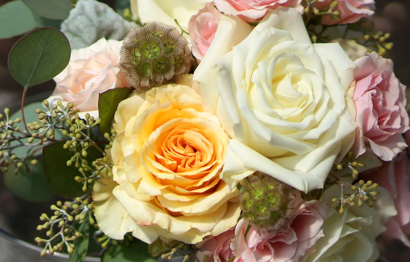 Photo wallpaper leaves, roses, bouquet, roses, bouquets