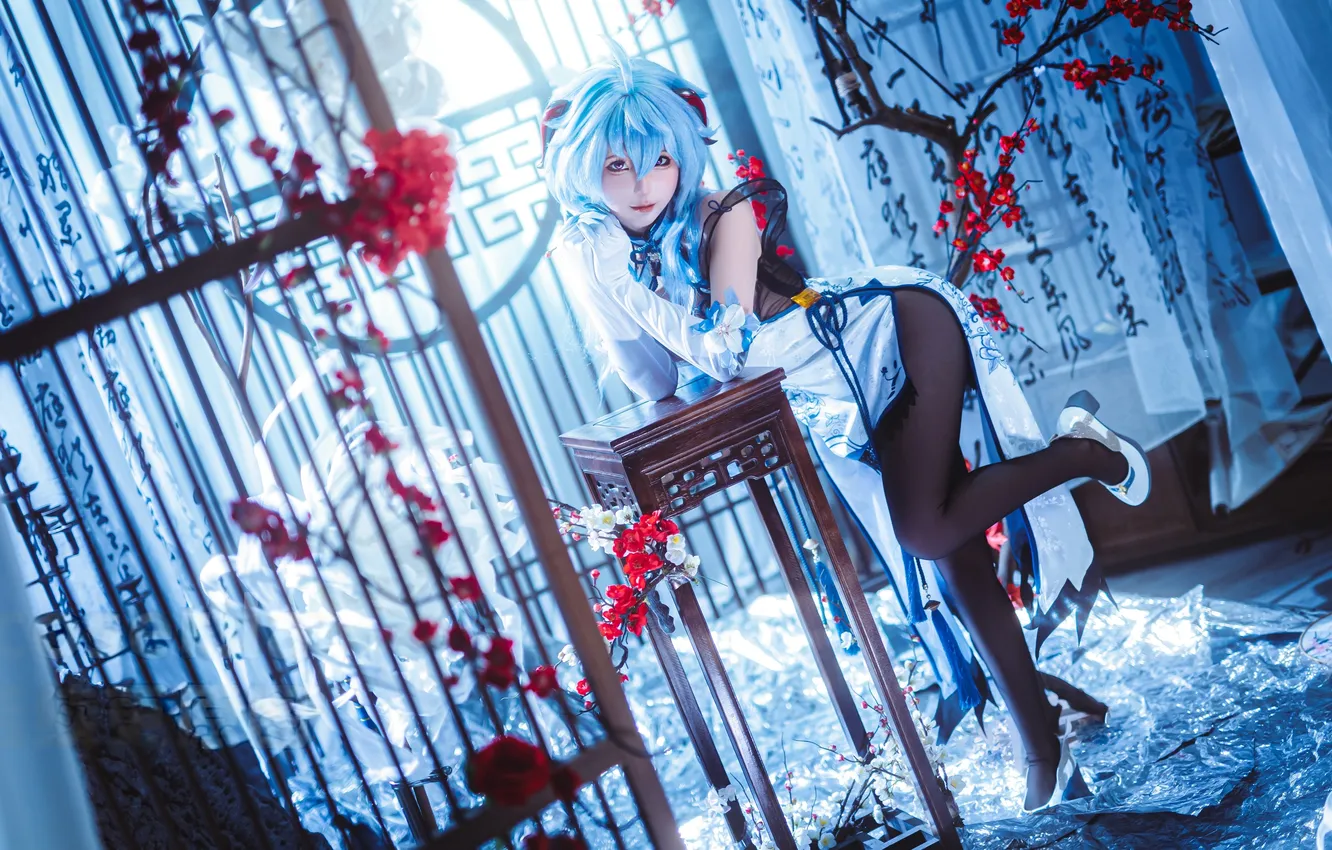 Photo wallpaper Asian, model, women, cosplay, pantyhose, Genshin Impact, Chun Momo, Ganyu Impact)