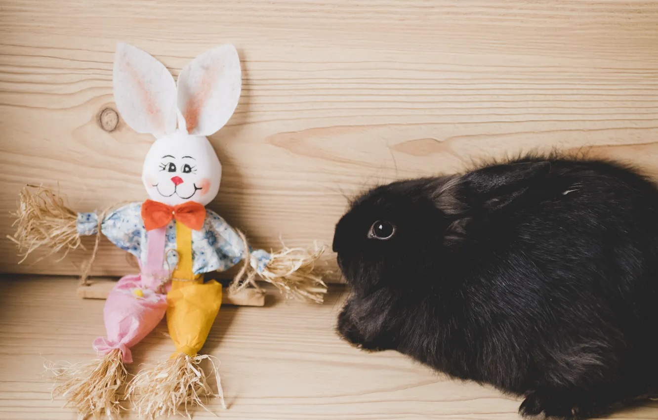 Photo wallpaper toy, hare, rabbit