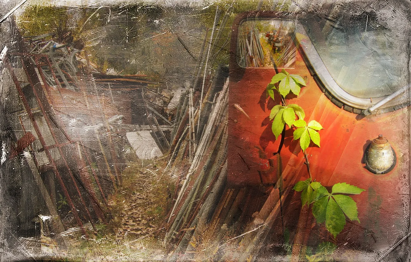 Photo wallpaper leaves, style, background