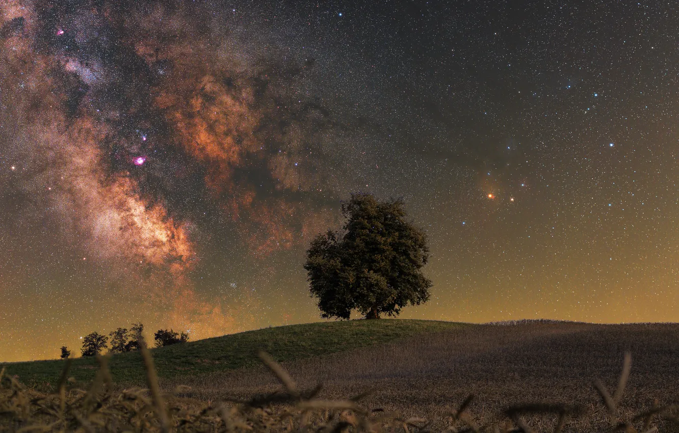 Photo wallpaper trees, night, hills