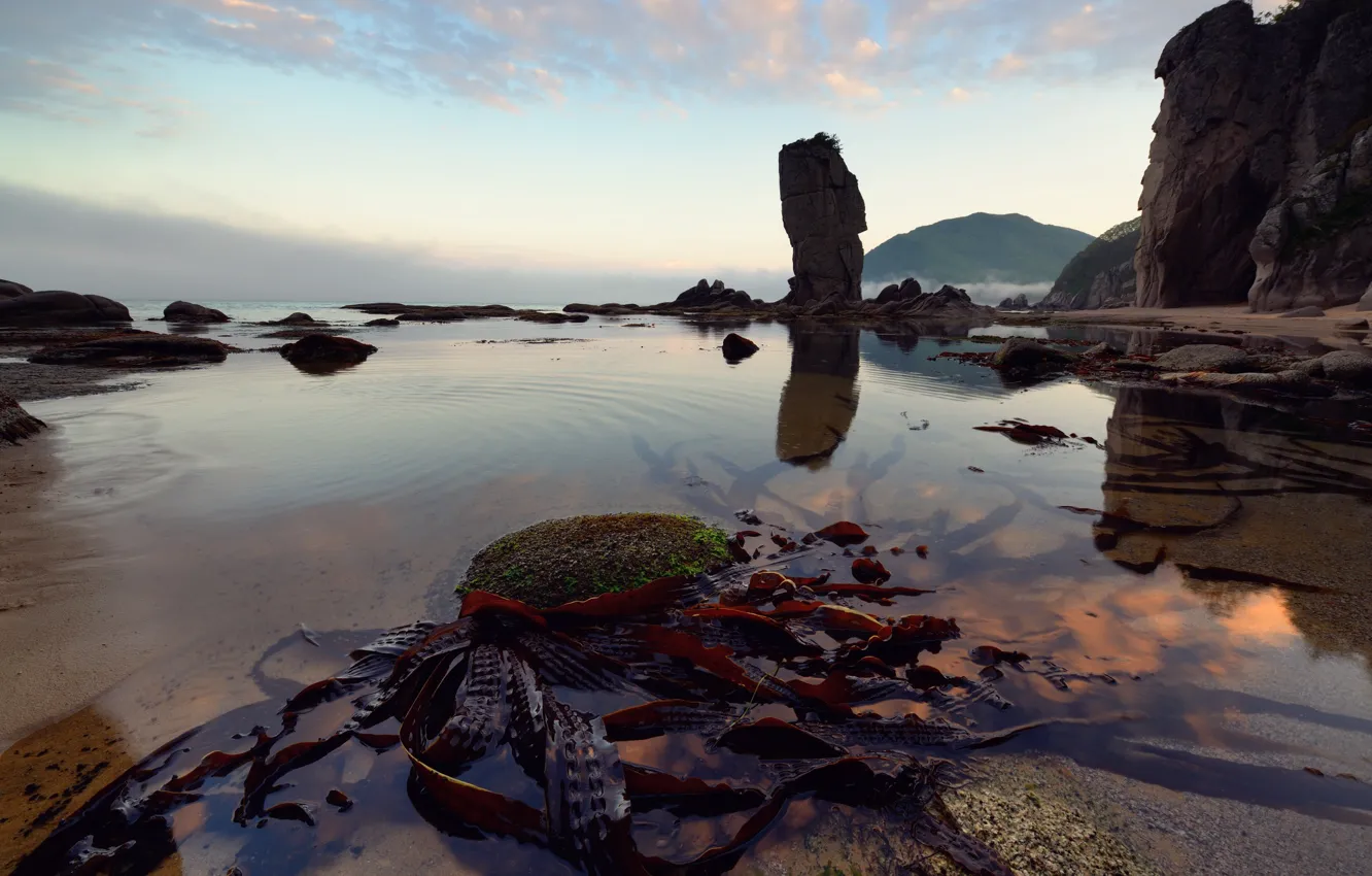 Photo wallpaper rocks, cabbage, Primorye, Lazovsky nature reserve