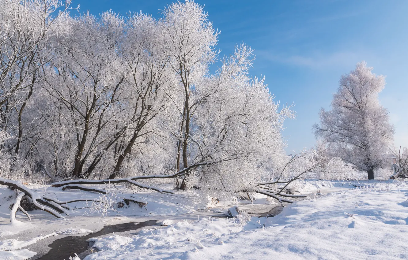 Photo wallpaper winter, frost, snow, trees, landscape, nature, frost, river