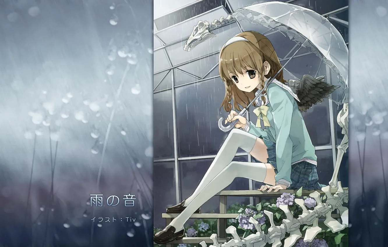 Photo wallpaper drops, greenhouse, umbrella, skeleton, braids, schoolgirl, wings, sailor