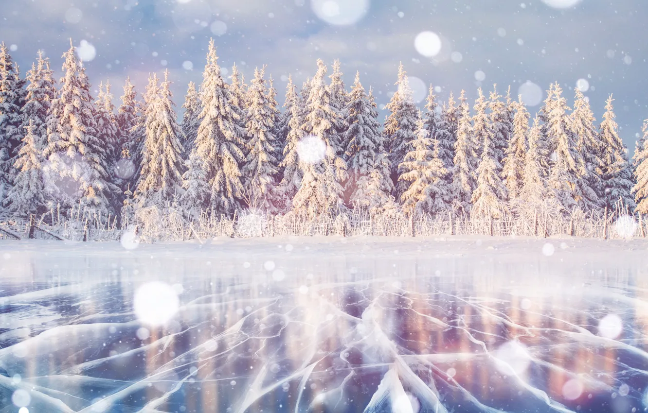Photo wallpaper ice, winter, forest, light, snow, cracked, shore, the fence