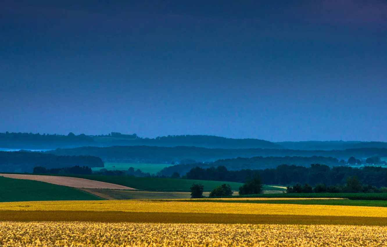 Photo wallpaper field, the sky, trees, horizon, farm