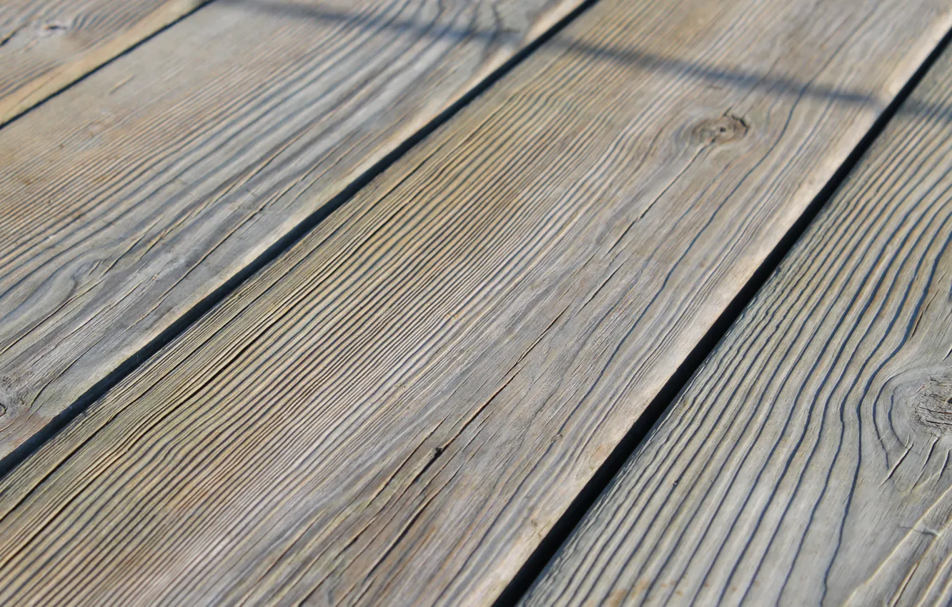 Photo wallpaper trees, Board, texture