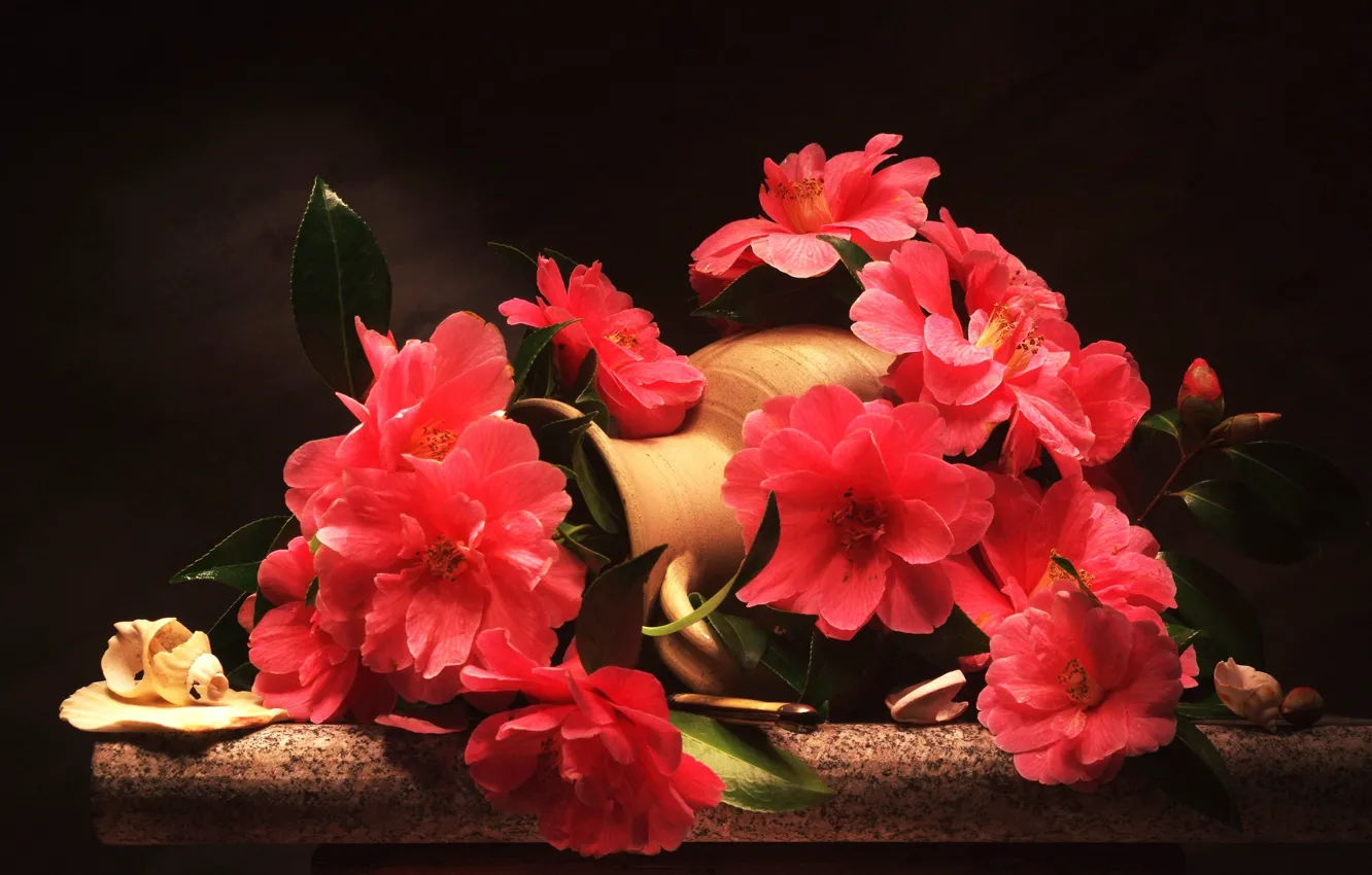 Photo wallpaper shell, pitcher, Camellia