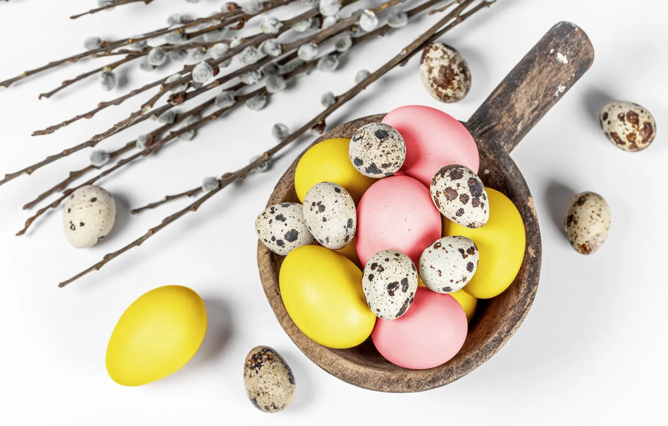 Photo wallpaper branches, eggs, Easter, white background, Verba, eggs