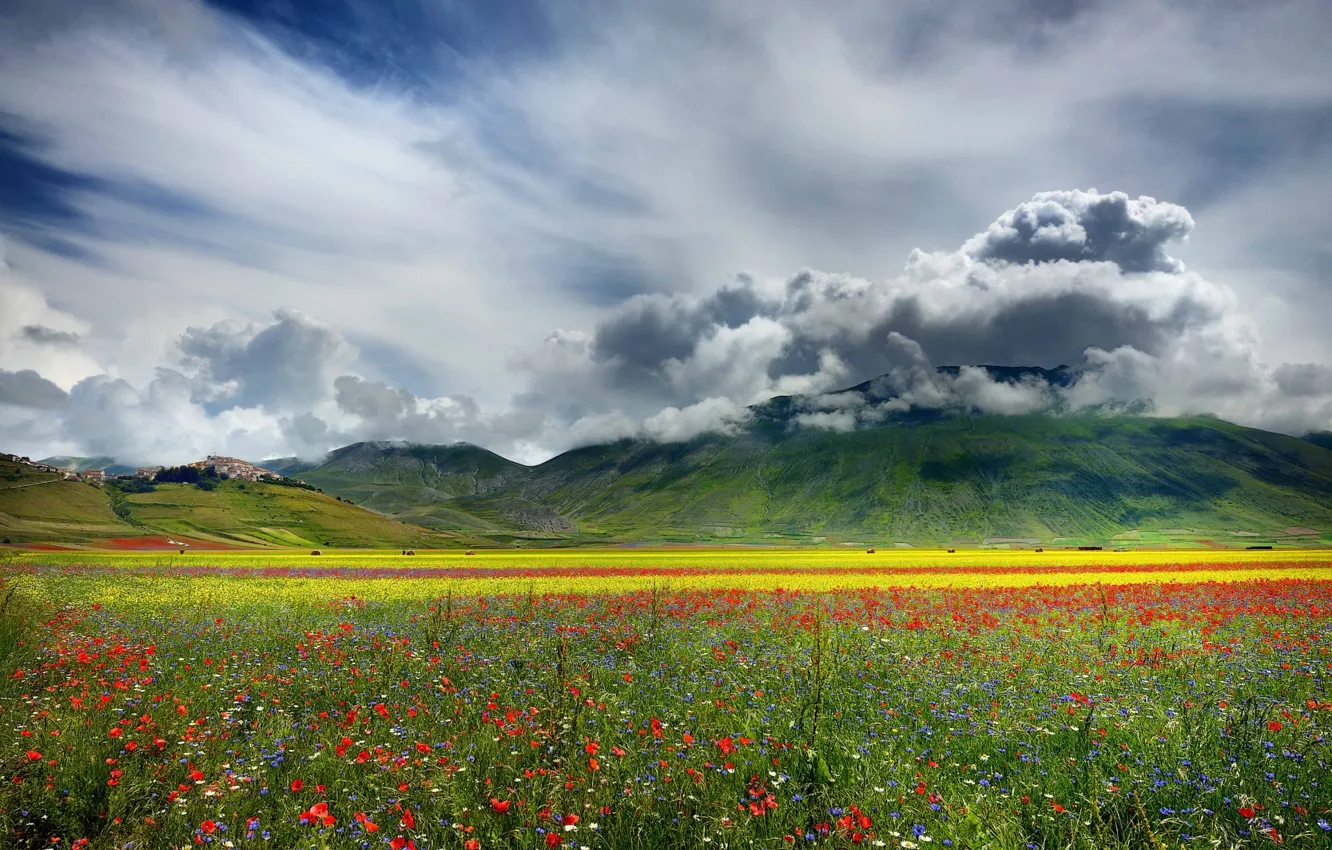 Photo wallpaper field, clouds, flowers, mountains, nature, plain, valley