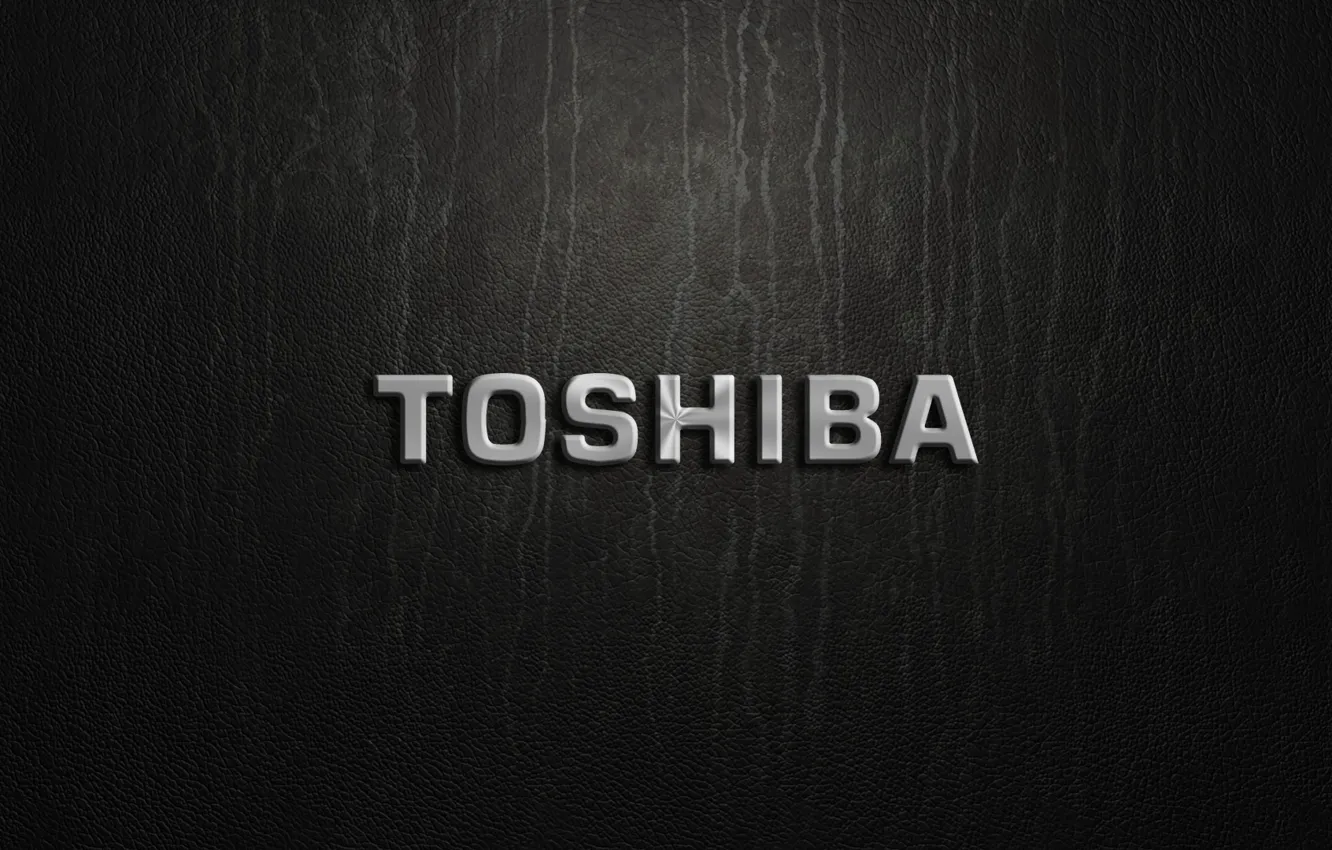 Photo wallpaper silver, logo, toshiva