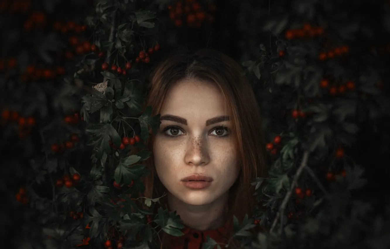Photo wallpaper leaves, girl, face, portrait, red, Alexander Tishkevich
