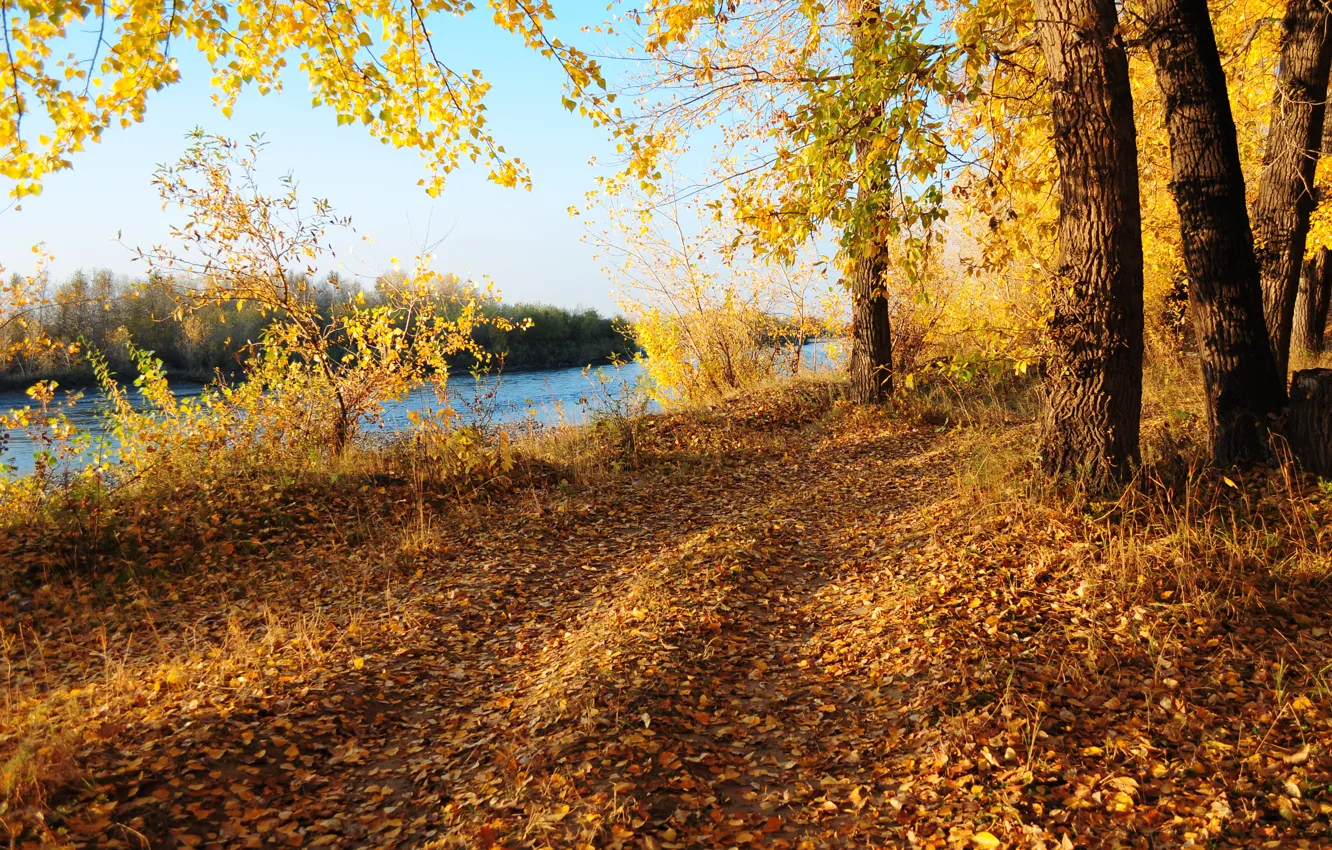 Photo wallpaper Autumn, Trees, River, Fall, Foliage, Autumn, Colors, River