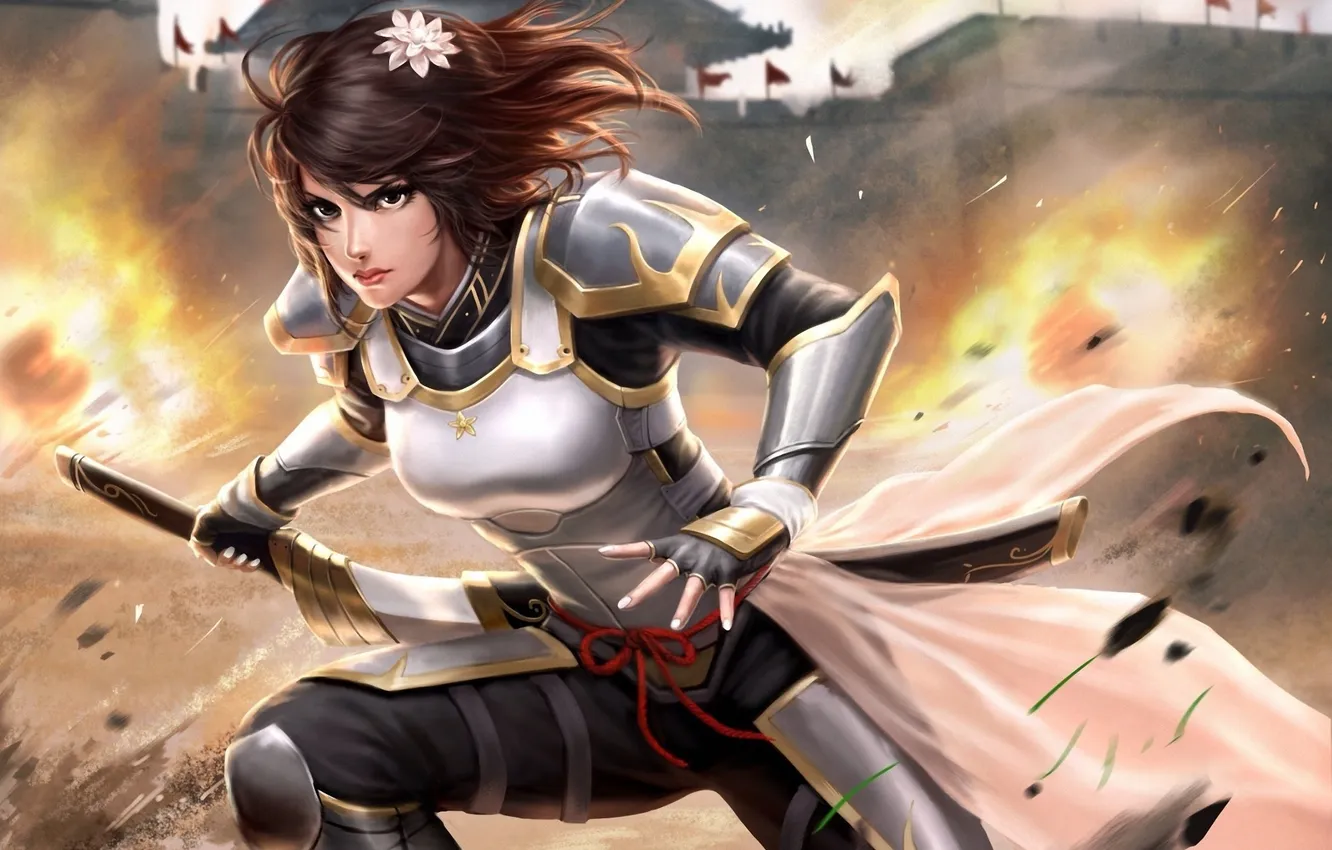 Photo wallpaper girl, flowers, lights, sword, armor, art