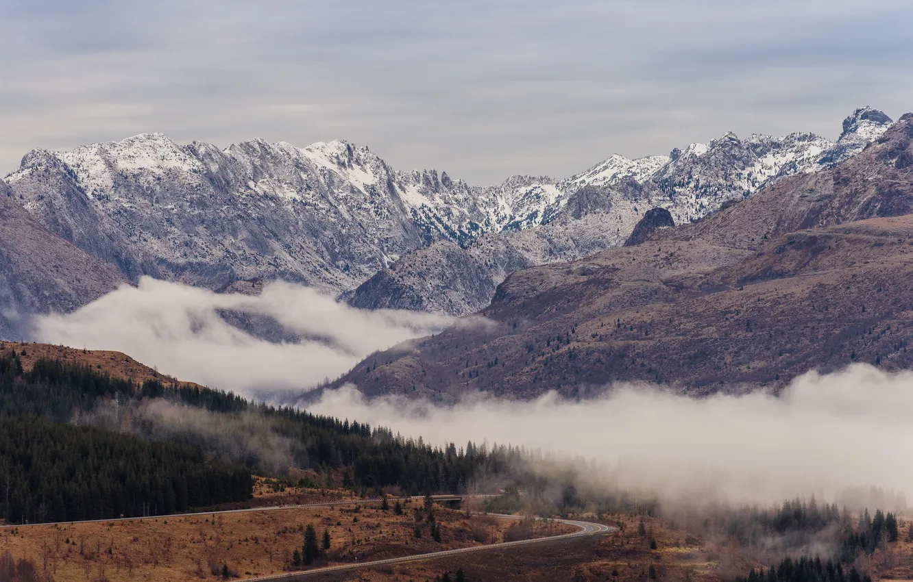Photo wallpaper road, the sky, clouds, snow, trees, Washington, United States, mount St. Helens national Volcanic Monument