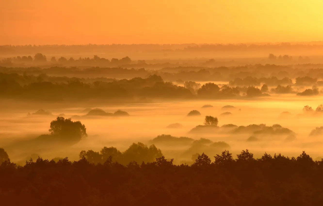 Photo wallpaper sunset, nature, fog