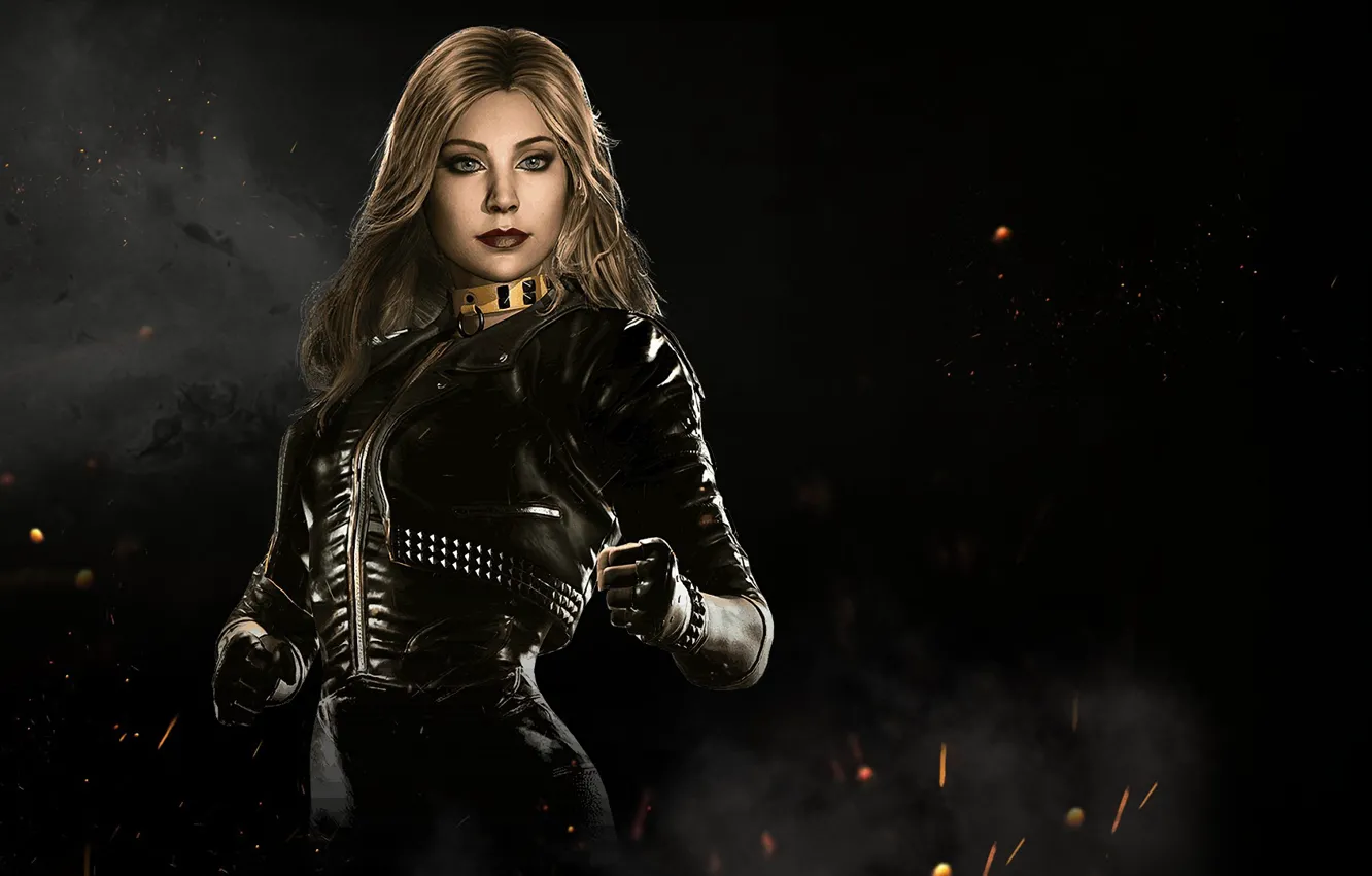 Photo wallpaper game, fighting, Black Canary, NetherRealm Studios, Injustice 2, Dinah Laurel Lance