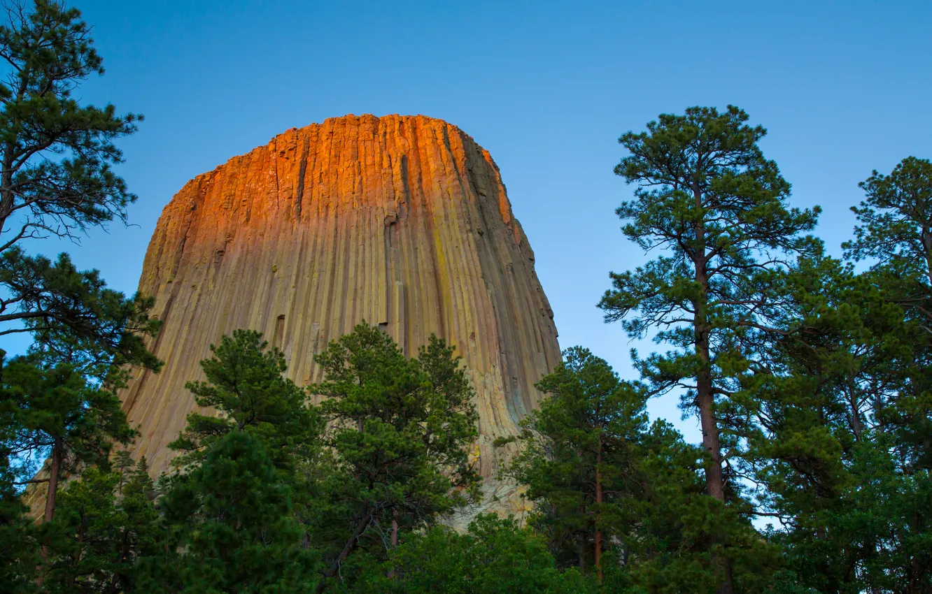 Photo wallpaper trees, rocks, Wyoming, USA, USA, Wyoming, Devils Tower